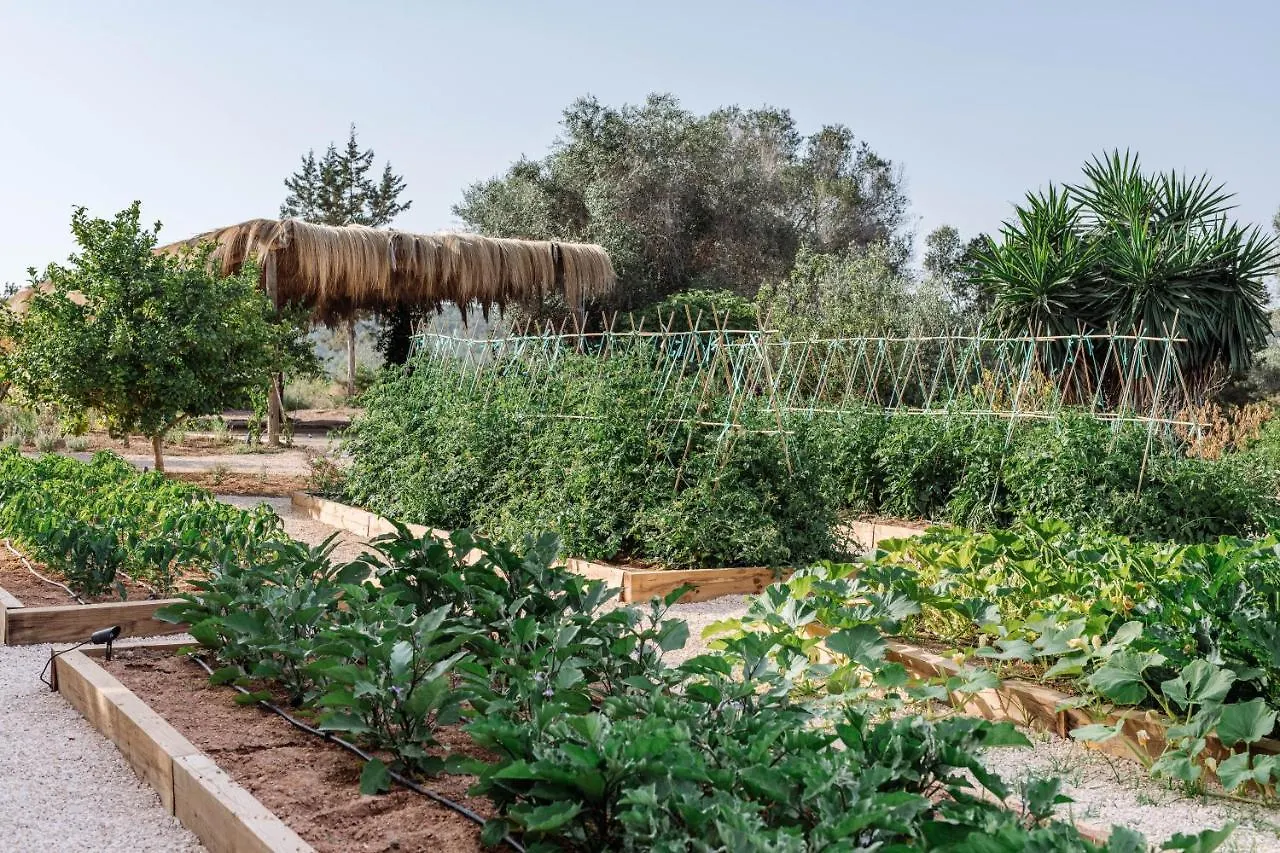 Agroturismo Can Domo Santa Eularia des Riu 0*,  Spanyolország